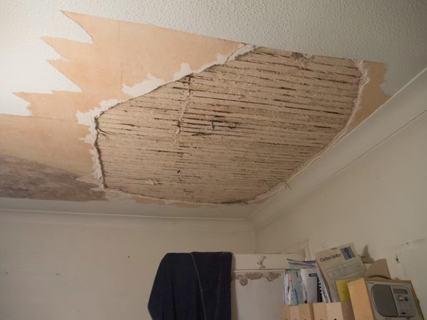 Does Your Basement Smell Musty? 5 Tips To Make It Better